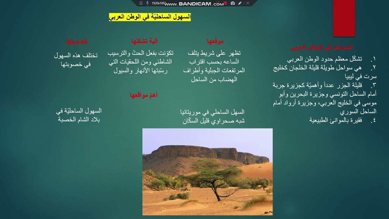 الدرس الخامس جغرافيا الوحدات التضريسية في الوطن العربي للصف التاسع 