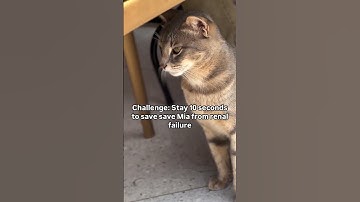 For any support, please click the link in our bio to helpEvery pledge you make is deeply appreciated