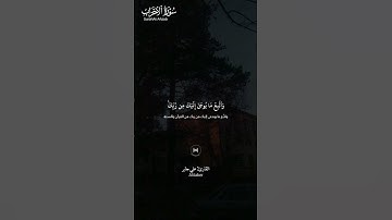 #سورة_الأحزاب ||حالات واتس قرآن ||القارئ#علي_جابر #تلاوة_هادئة #المصحف #راحة_نفسية