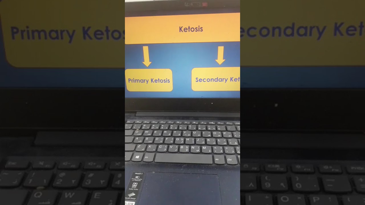 5-Post Parturient Ketosis in Diary Cattle Prof. Dr Hamed Attia