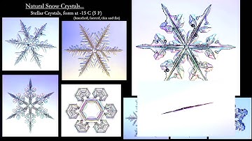 Feb 20: Ken Libbrecht