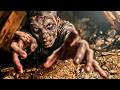 The Terror Experiment | HORROR | Full Movie in English
