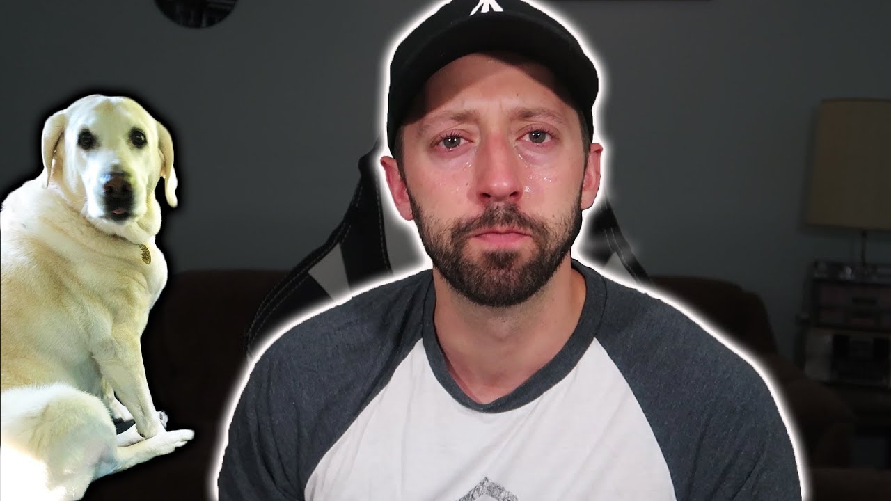 update - unexpected bad news