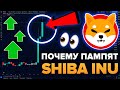 ПОЧЕМУ SHIBA INU ТАК РАСТЕТ? (Листинг Robinhood, Сжигание монет) Dogecoin или Shiba?