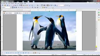 Class 10 Unit  1 Digital Documentation (Advanced)