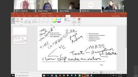 Data Analytics and Auditing on the Corona Virus - Spring 2020 Prof. Vasarhelyi