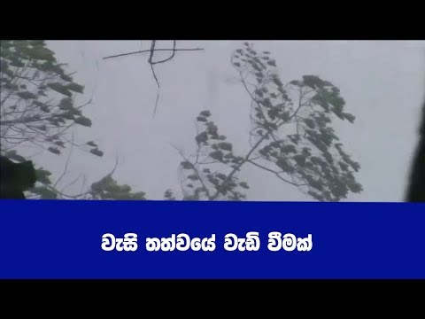 වැසි තත්වයේ වැඩි වීමක්