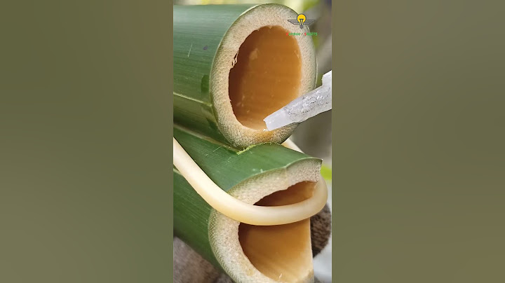 Bamboo Crafts #DiY #bamboo