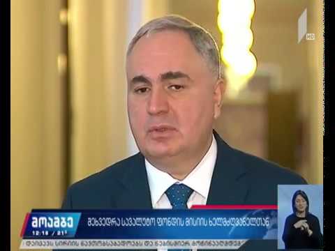 შეხვედრა საერთაშორისო სავალუტო ფონდის მისიის ხელმძღვანელთან