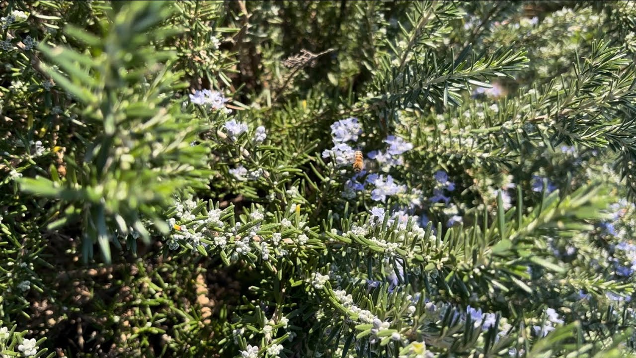 value the little things in life 