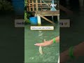 Feeding a tarpon looks terrifying 😅