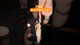 ケンサキイカ、遂に始まりました！！ #short #shorts