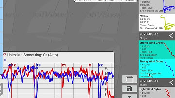 Master Log Management in the SailViewer App