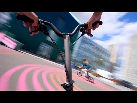 ale master bib shorts