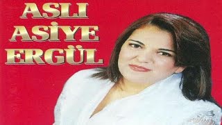 Aslı Asiye Ergül - Garip Başa Karlar Yağar Resimi