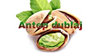 Download lagu Çildirmalik Çizgi Antep Dublaj vol 2 Çildirmalik Çizgi Antep Dublaj vol 2