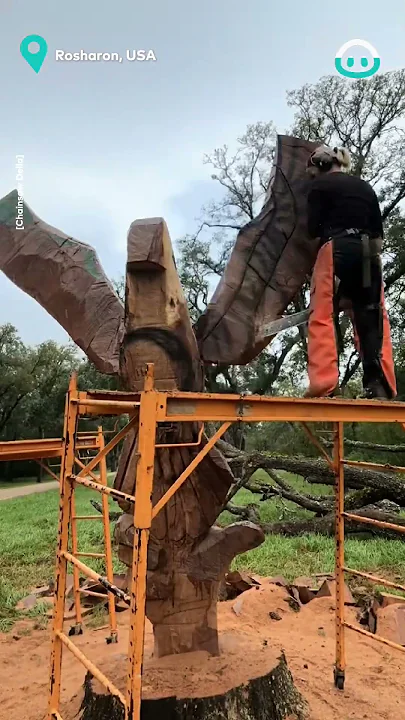 Impressive Chainsaw Wooden Sculpture || ViralHog