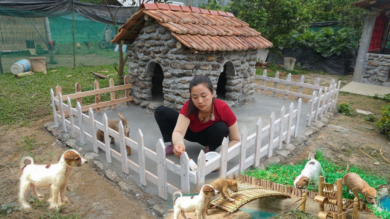 Full Video: 7 Days Building Stone House For Dog - Build a Wooden Fence - Build house for Puppies