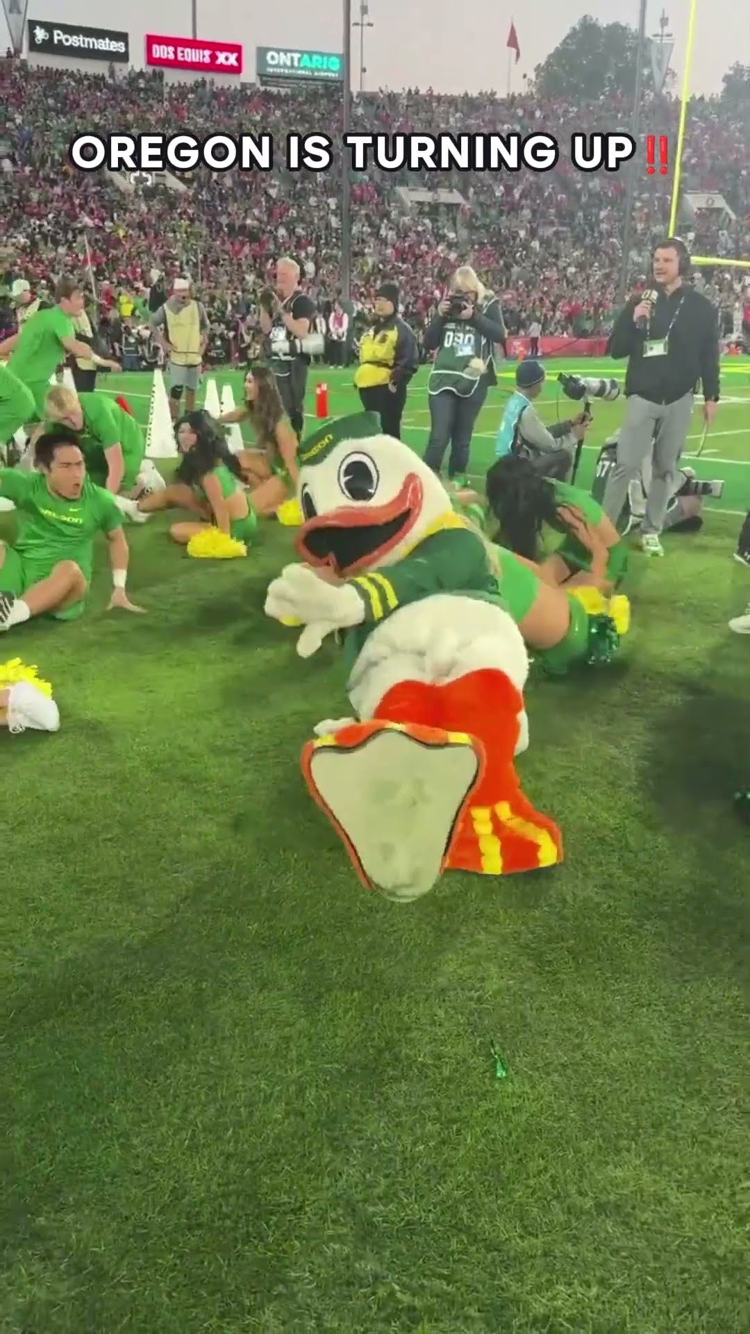 The duck is still getting it ?