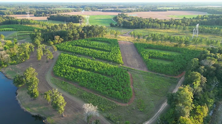 291 Acres Worth County