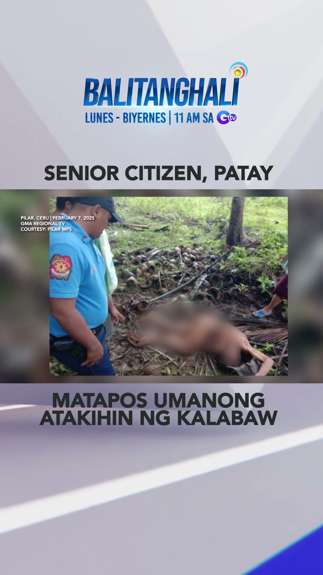 70-anyos na lalaki, patay matapos umanong atakihin ng kalabaw #shorts | Balitanghali
