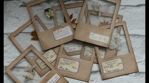 Botanical Slides Ephemera Easy To Do