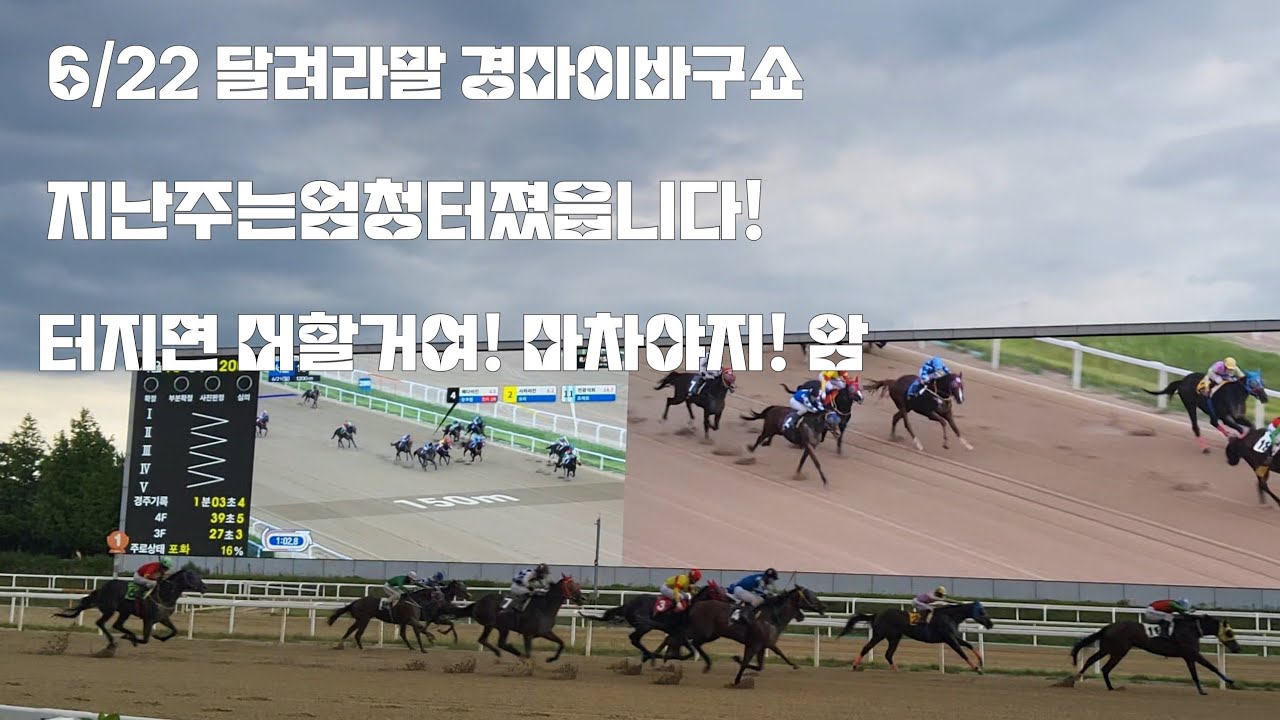 경마후기/월요병/심의경주 같은경주/이번주 대상경주 오너스컵 부산