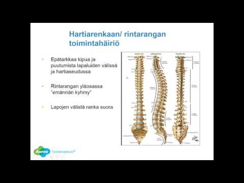 Video: Panaritium - Mikä Se On? Syyt, Oireet Ja Hoito