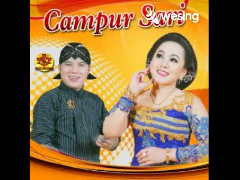 Iki Weke Sopo