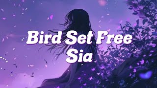 Bird Set Free - Sia (Lyrics)💜