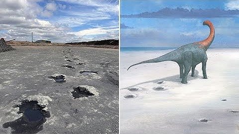 Oxfordshire: 166 Millionen Jahre alte Dinosaurierspuren in Steinbruch entdeckt