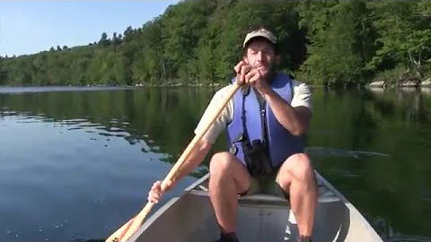 Animal Adventures Willard Pond NH Audubon