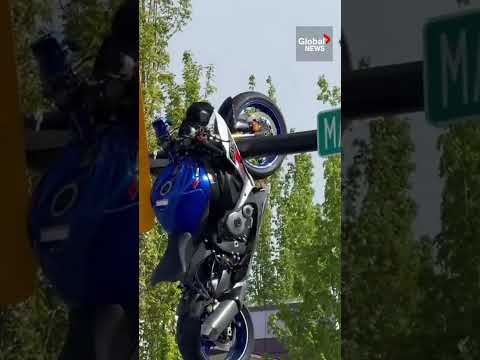 Global News Edmonton Car Accident