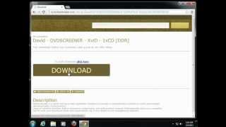 Torrent application inspection screenshot 1