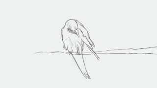 Algo Exploration | Live music coding | #Python #FoxDot #lofibeats  #ImranAhmedmusic