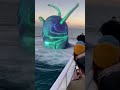 A weird sea creature spotted in a Sea 🤯#seacreatures #weirdanimals #trending #mysterious