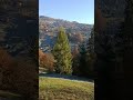 Природа Карпатських гір