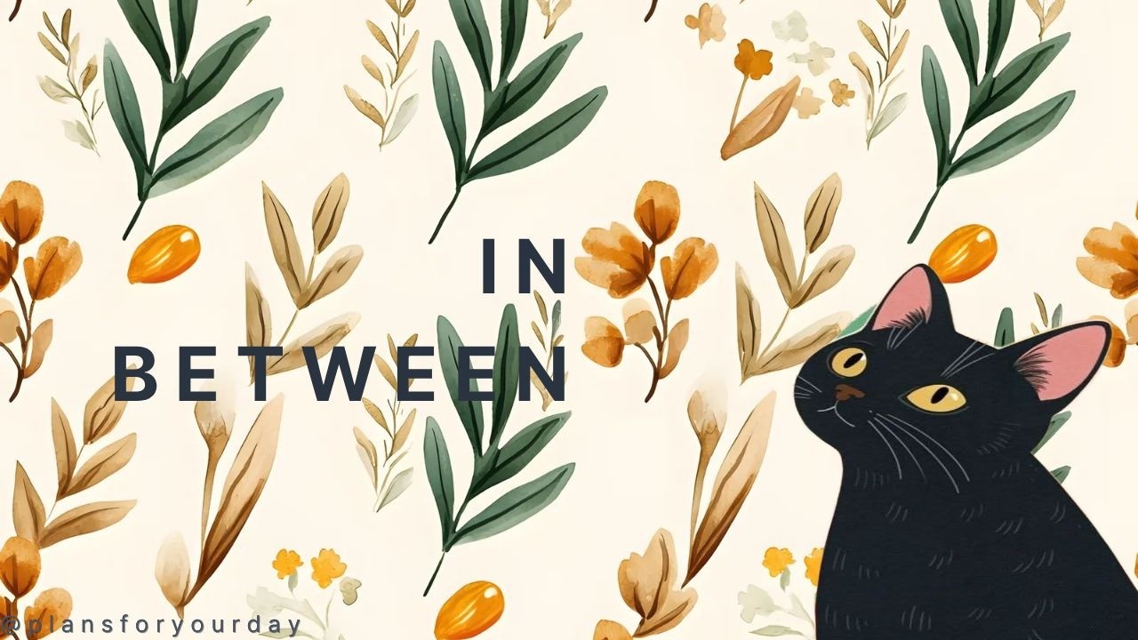 [playlist] 티 안 나게 좋은 거, 이런 거지🎧 | plansforyourday  | CHILL•GROOVE•VIBE