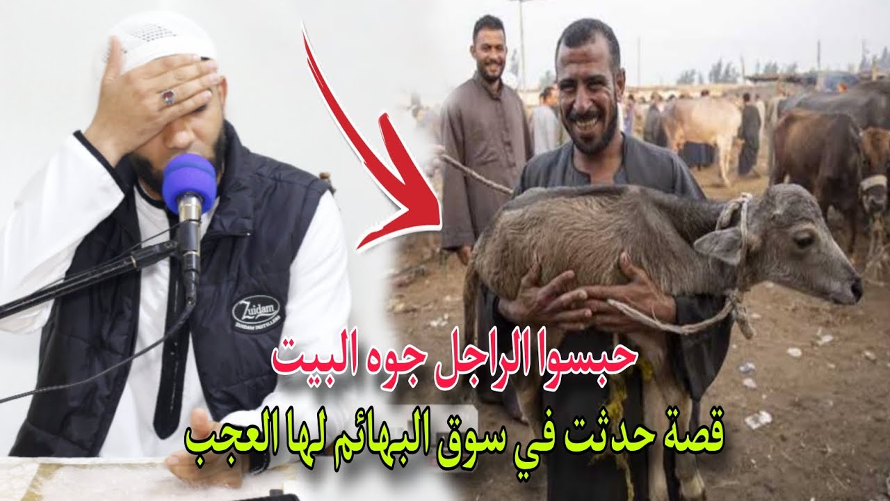 أعجب قصة حدثت في سوق البهائم عن الحسد🎴قصة عجيبة صدمت الجميع للشيخ محمد صبره☝️
