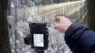 📷 ❄️ FOG &amp; LIGHT RAYS in the SNOW | Landscape Photography