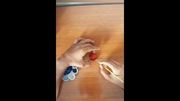 🌰🐞🎨 Walnut Ladybug Drawing Tutorial: Unleash Your Creativity! ✍️✨