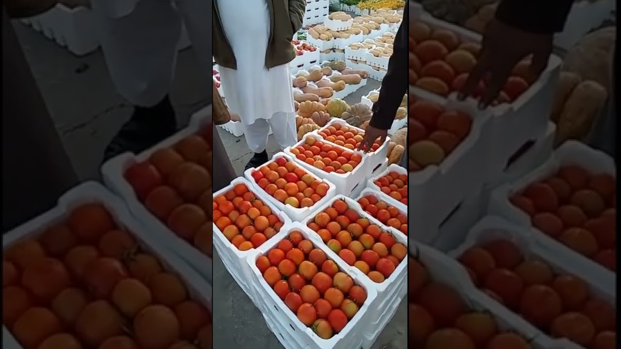 مقتطفات جميله ولقاء مميز مع رواد السوق و كبار المستثمرين في سوق الخضار في محافظة عنيزة