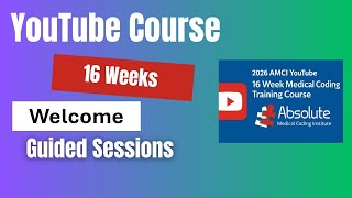 YouTube Guided Course Week 11 📱