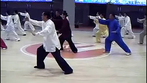 Yang Shi Taijiquan 28 Shi - Master Zhao Youbin ()