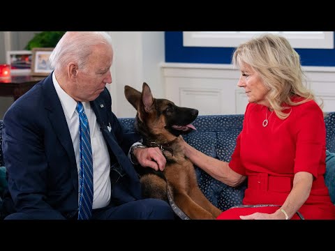 Commander, o cão 'mordedor' dos Biden, deixa a Casa Branca | AFP