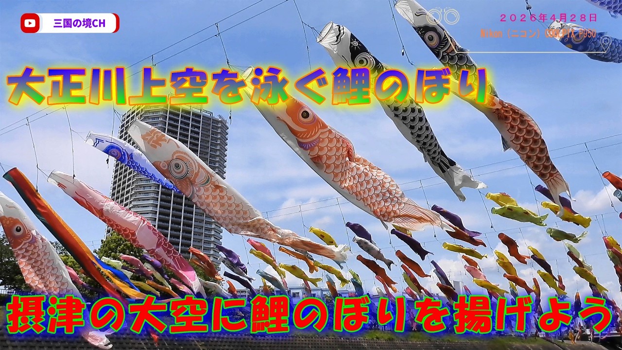 摂津の空に舞う鯉のぼり！2026年春の絶景イベント｜2026年4月28日