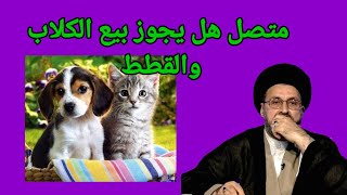 متصل هل يجوز بيع الكلاب والقطط في الاسواق / سماحة السيد رشيد الحسيني