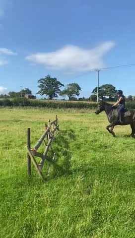 Advert reference - 347221