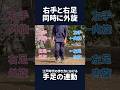 右手と右足同時に外旋　江戸時代の歩き方における手足の連動 #shorts #江戸時代の歩き方 #ナンバ歩き #内旋 #外旋