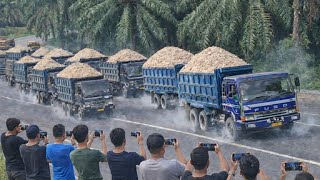 Jalan Sunyi Mendadak Jadi Sorotan Saat Truck-Truck  Ini Melintas #viral #truck 